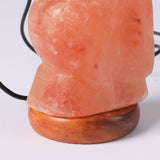 Salt Lamp Globe USB Himalayan Natural Crystal Rock Cord Night Light Lamps Globes - OZ Discount Store