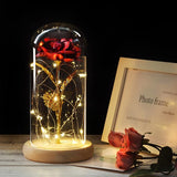 6 Colour Beauty And The Beast Red Rose In A Glass Dome On A Wooden Base For Valentine's Gifts LED Rose Lamps Christmas