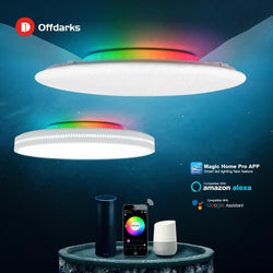 Modern LED Smart Ceiling Light WiFi / APP Intelligent Control Ceiling lamp