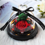 The Beauty and Beast Eternal Rose With Night Light in Glass Dome 