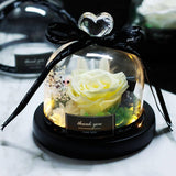 The Beauty and Beast Eternal Rose With Night Light in Glass Dome 
